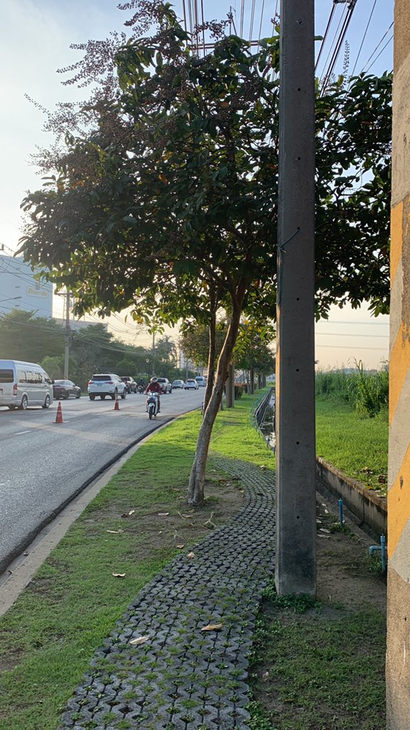 BrightWins_il's tweet photo. How to cross the road in Thailand? 😀 is it same with indonesia? We just cross where ever we are https://t.co/bOjsQVA2D4