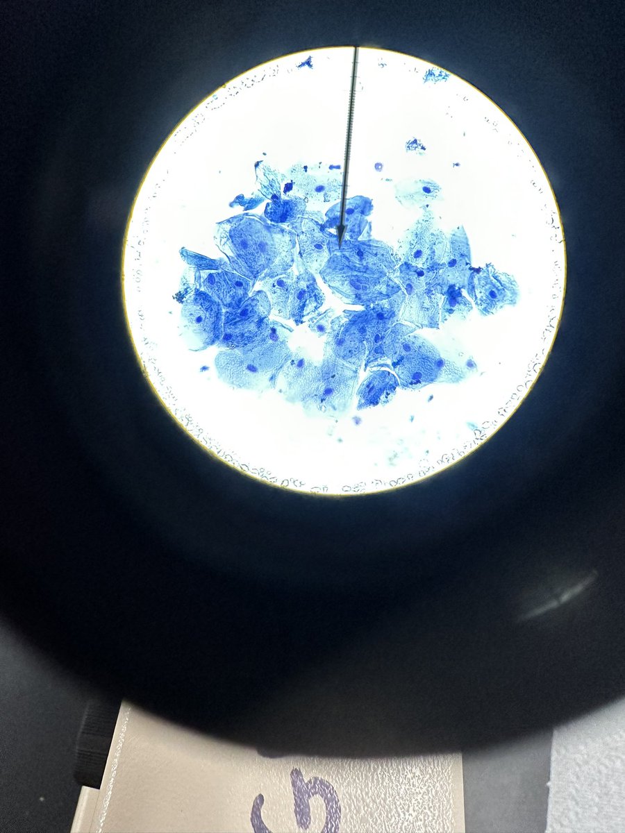 Bethany Saunders tweet media