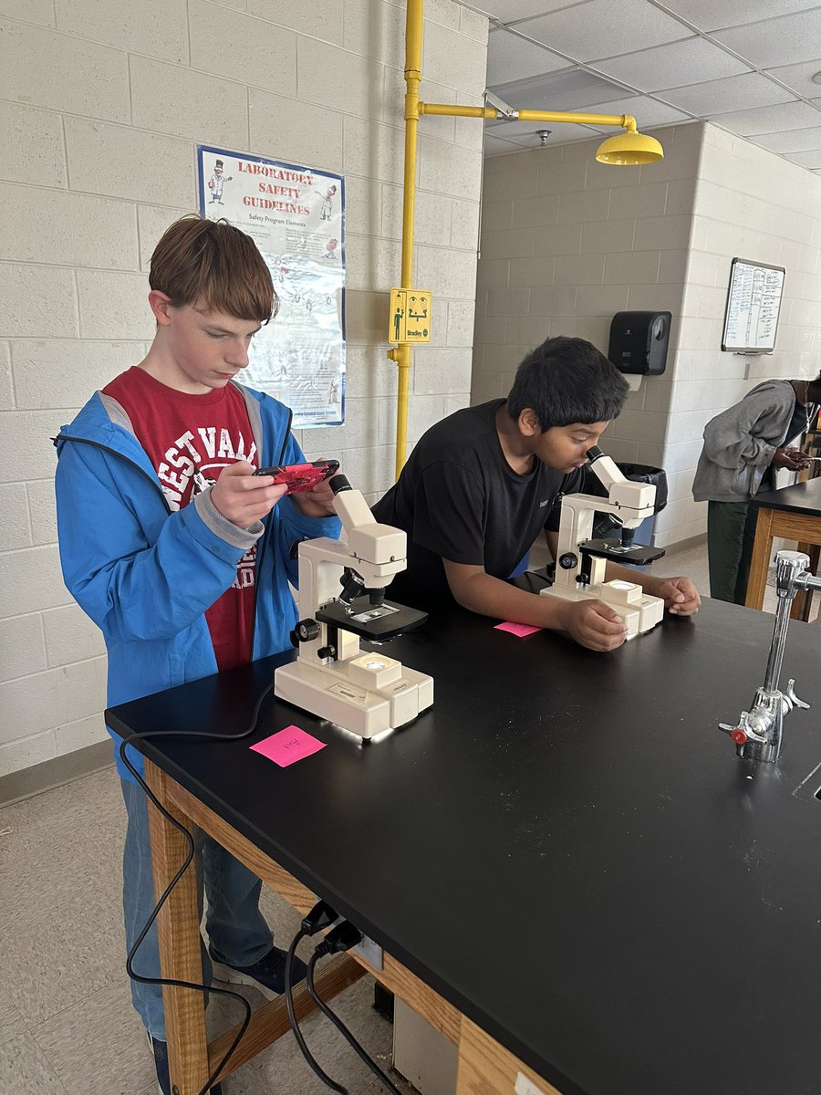Checking out our cheek cells under the microscope!!!