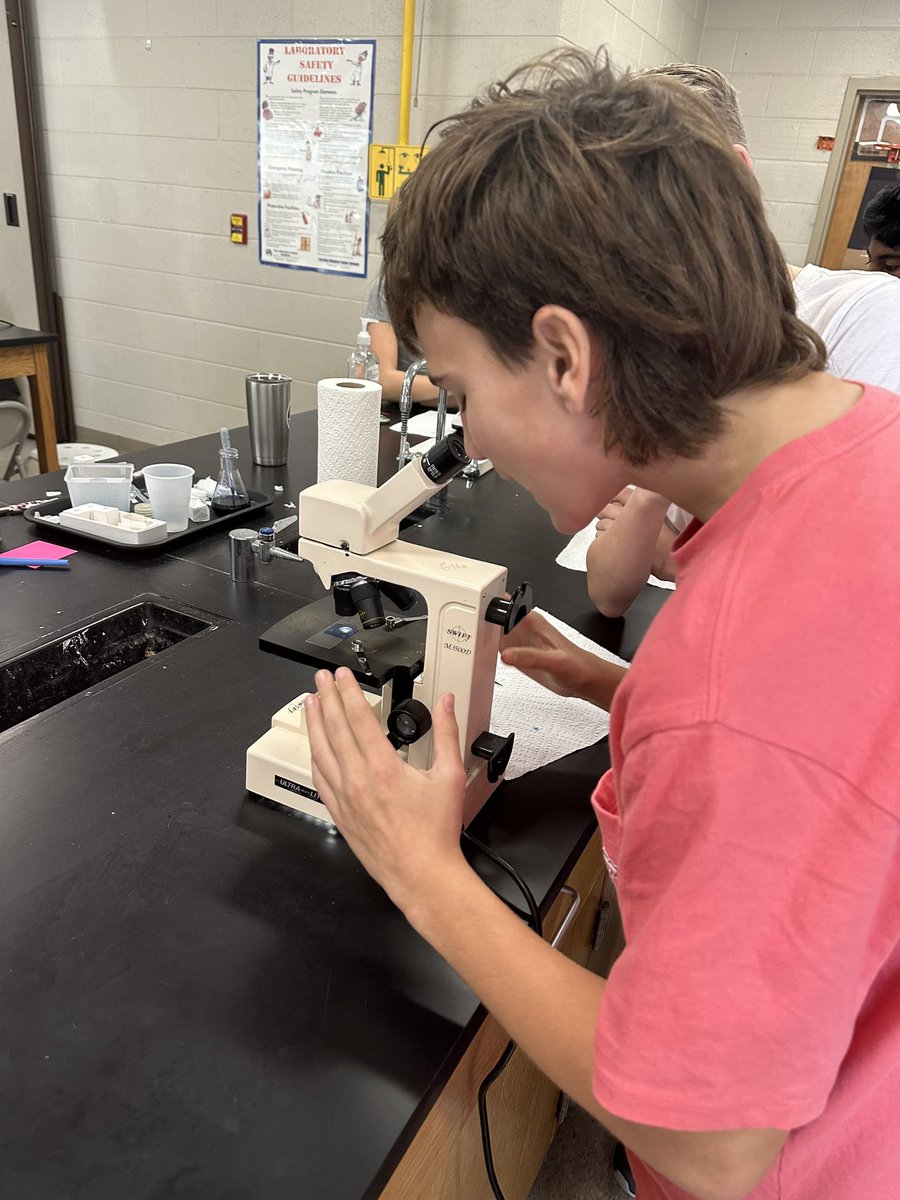 Bethany Saunders tweet media