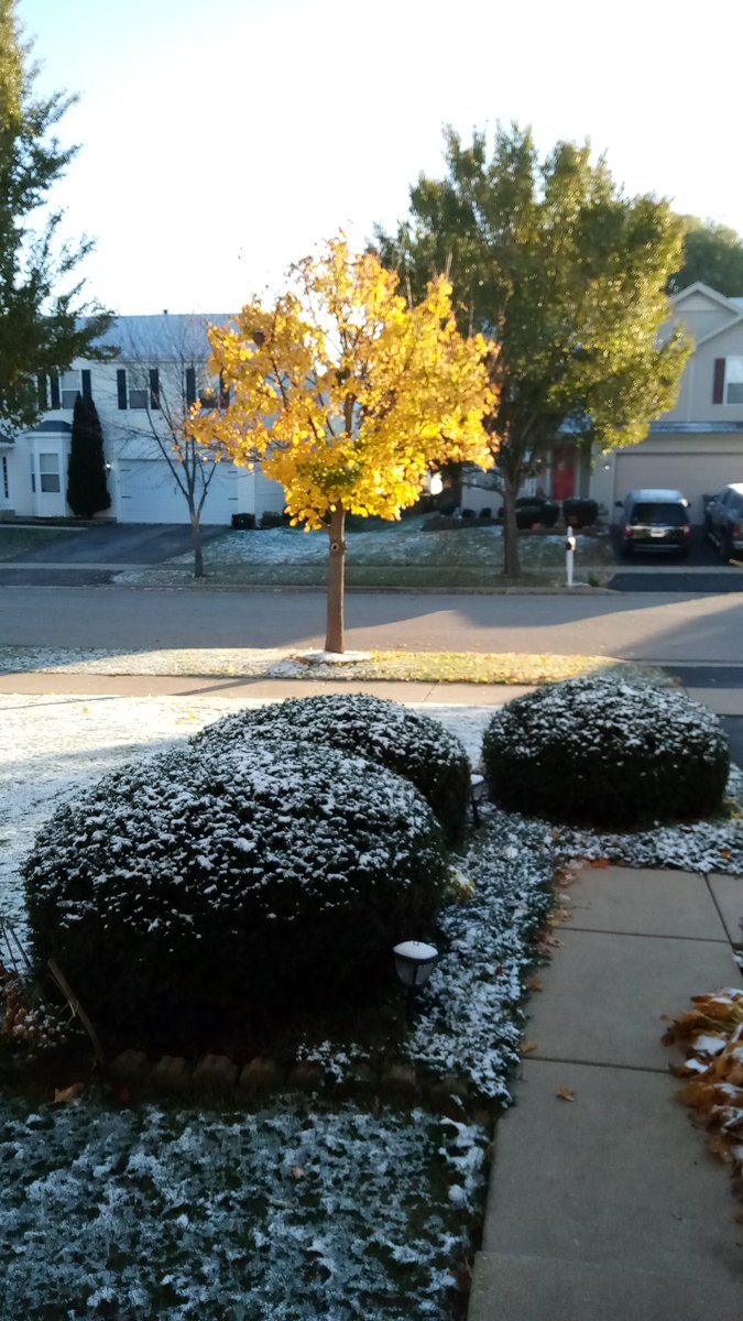 Happy November everyone.