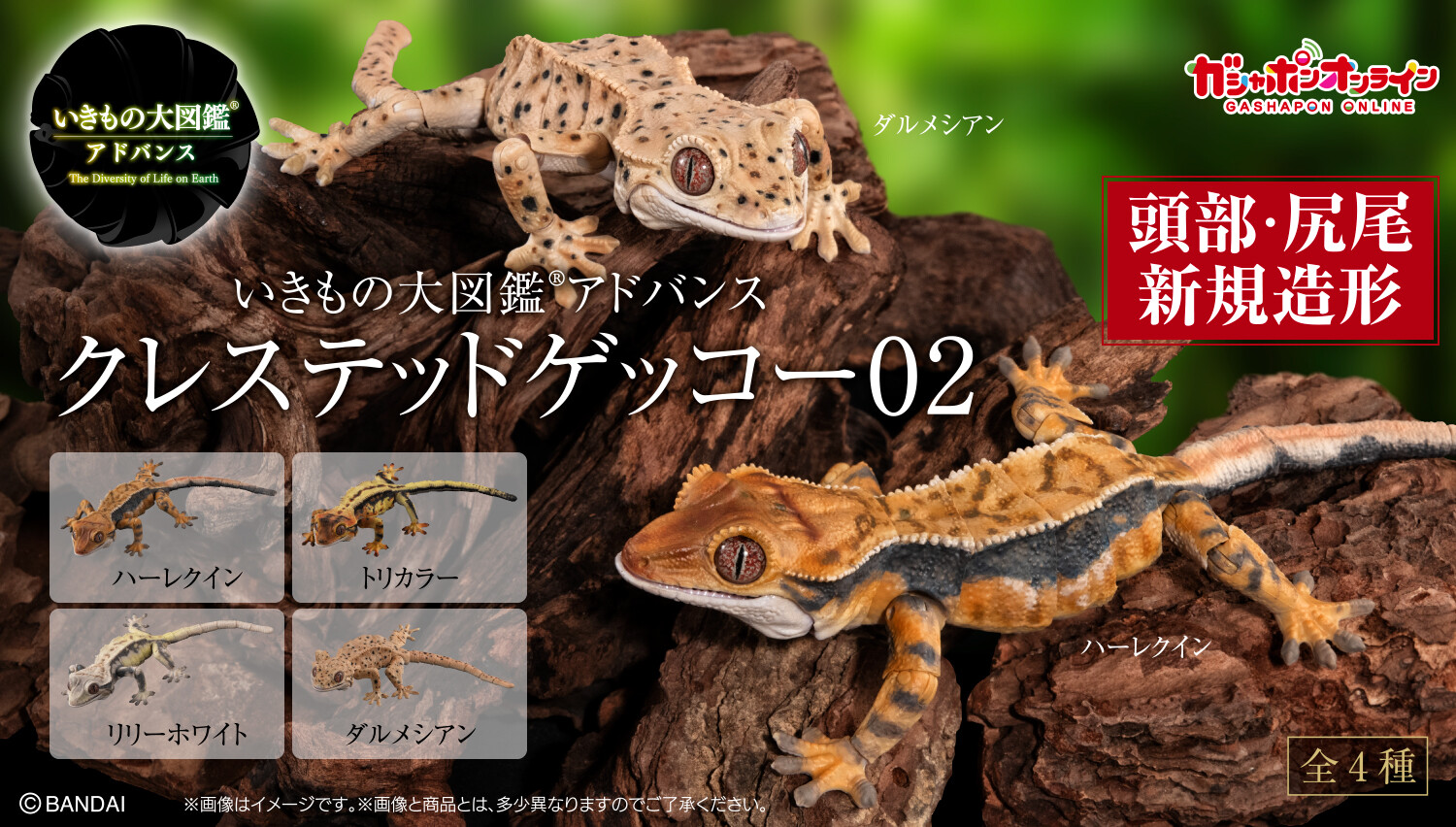 いきものだいずかん　クレステッドゲッコー　コンプリート いきもの大図鑑アドバンス クレステッドゲッコー02｜ガシャポン