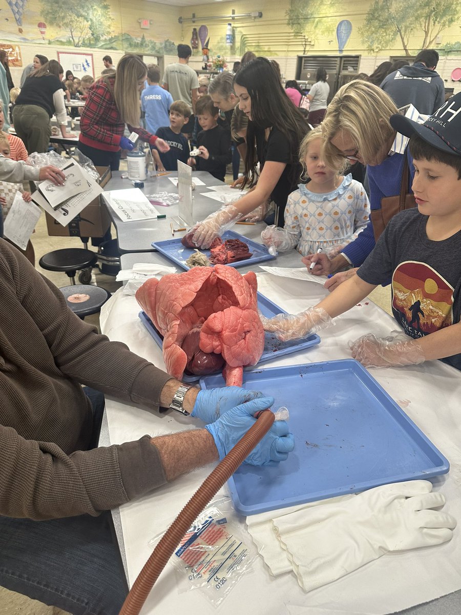 Had a wonderful time hosting Rocky Hill Elementary’s Mad Science night for the 3rd year! Students discovered many aspects of our theme “it’s alive!” And I even had former Rams come and help me!