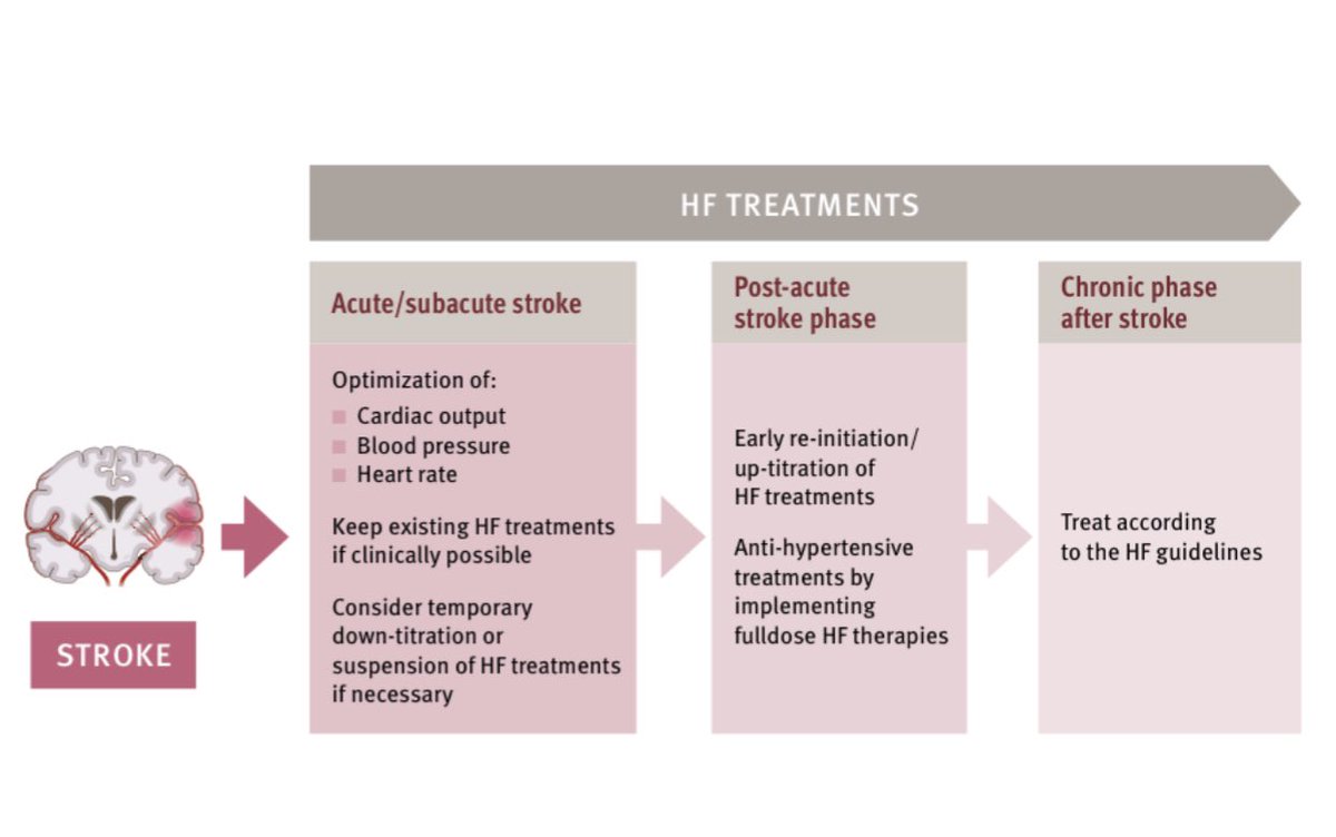 HanCardiomd's tweet photo. Interaction of #HeartFailure and #Stroke: A clinical consensus statement of the ESC Council on Stroke, the #HFA and the ESC Working Group on #Thrombosis
#CardioNeuro 🫀🧠
https://t.co/C2P5zS2bcl @ESC_Journals @escardio @HFA_President @EJHFEiC https://t.co/pirMGEXV5j