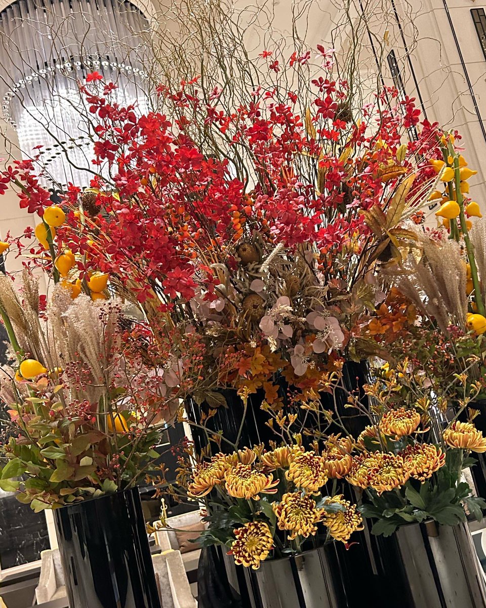 flowerliberte's tweet photo. #hellonovember 

11月のリーベルホテル のロビーは紅葉です。移りゆく日本の美しい季節を感じてください。

@liber_hotel 
https://t.co/xpPzdZl5h0
大阪市此花区桜島1丁目１-35

@flowerliberte
#765花 https://t.co/WvZuGffgoZ