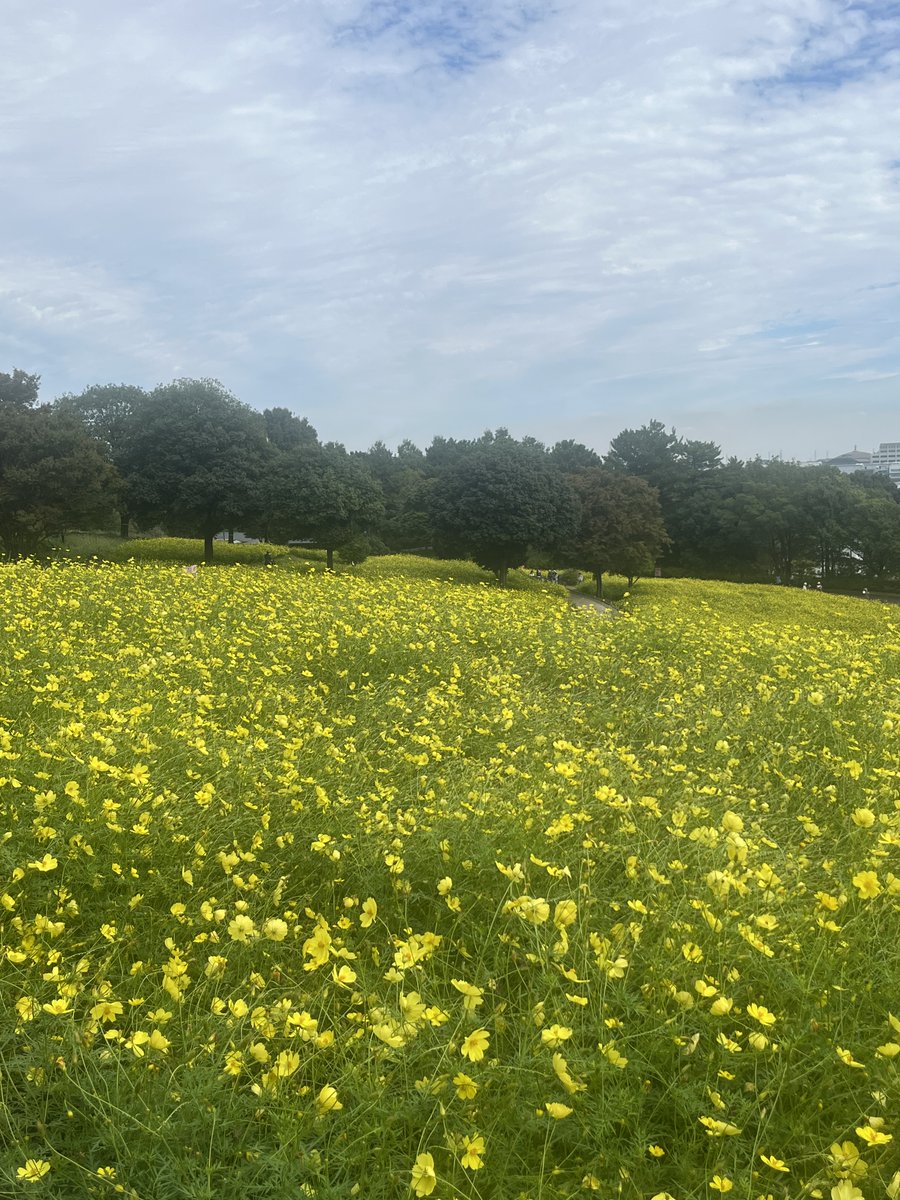 cliffaug's tweet image. Day of the Dead. May their memories live on forever.