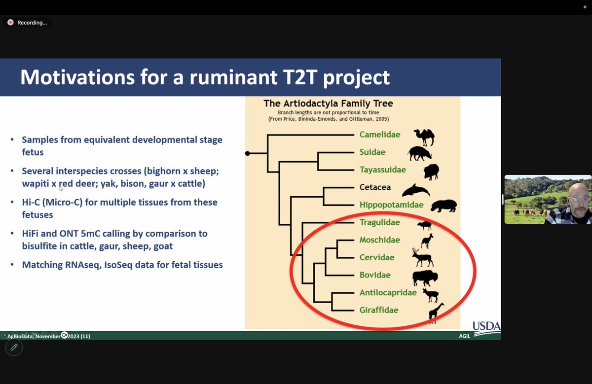 Today, we had a great webinar with Ben Rosen about the ruminant pan-genome! In case you missed it, you can watch it again on our YouTube channel youtu.be/8hpZwXGDR5E