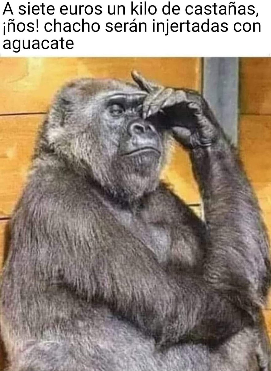 juana rodriguez (@juanarodr2016) on Twitter photo 