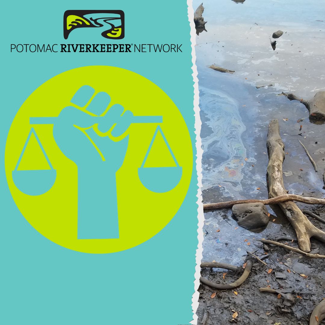 Alexandria has settled the lawsuit we filed against them! Under the settlement terms, the city will upgrade its wells and storm sewers, clean up contaminated sediments, and provide $300,000 for mussel restoration. Learn more here: ow.ly/jg6B50Q3cSs
<a href="/DCist/">DCist</a> <a href="/JacobFenston/">Jacob Fenston</a>