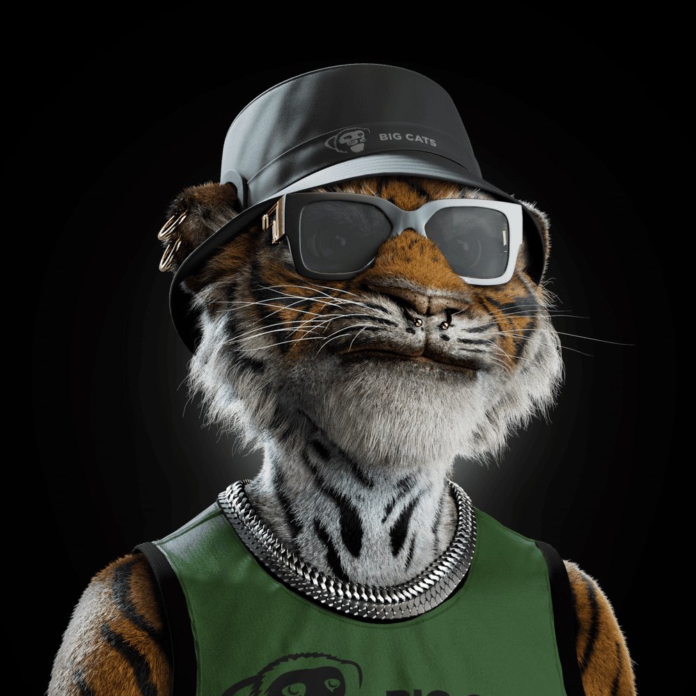 Archi 😎 tweet media