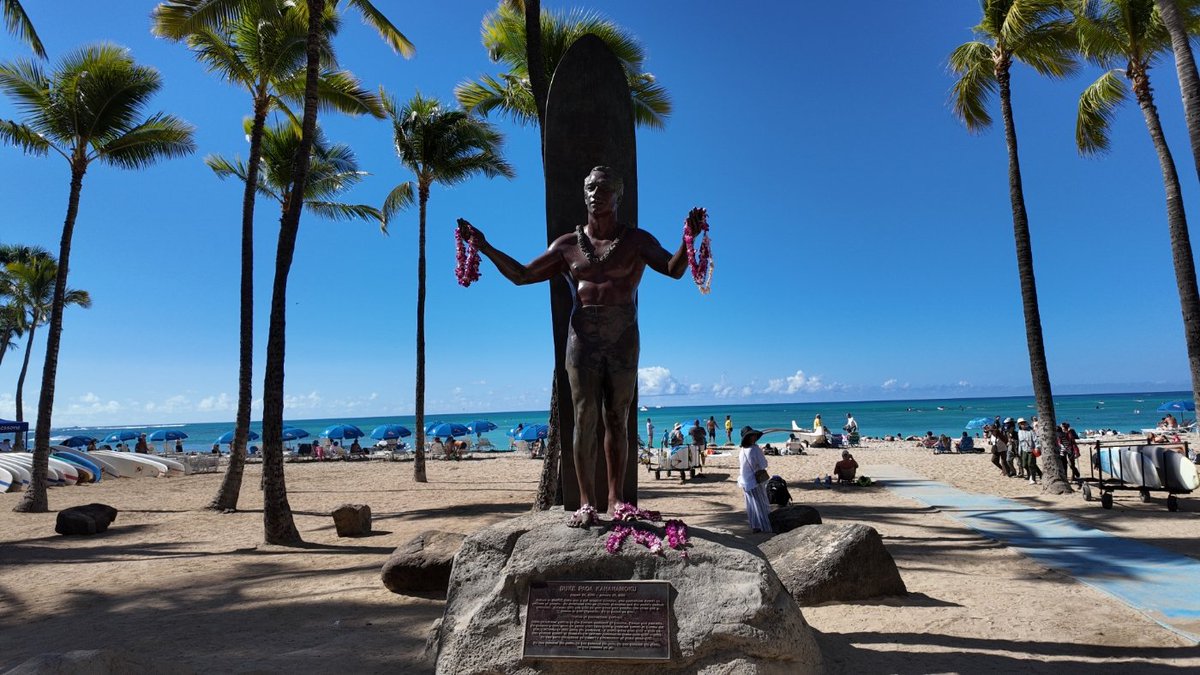 ninjaloha50's tweet image. Good morning Wednesday #DJIPocket3