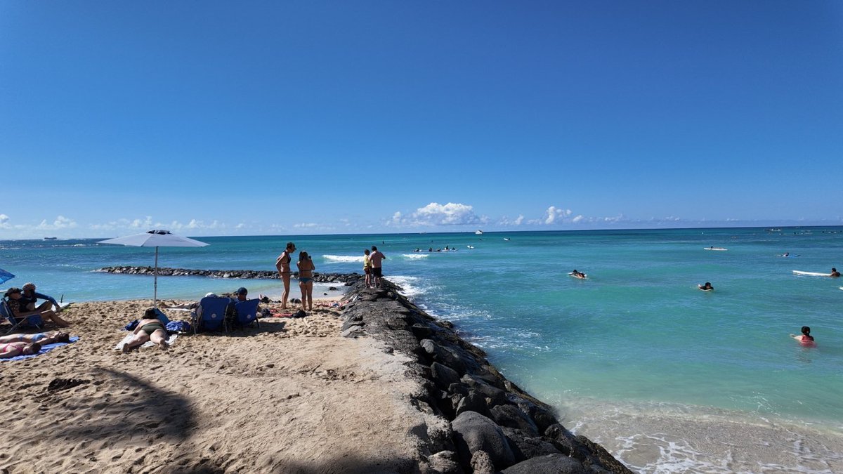 ninjaloha50's tweet image. Good morning Wednesday #DJIPocket3