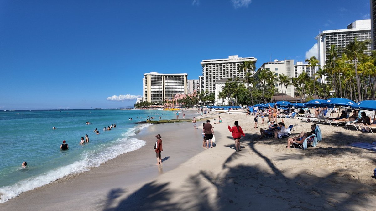 ninjaloha50's tweet image. Good morning Wednesday #DJIPocket3