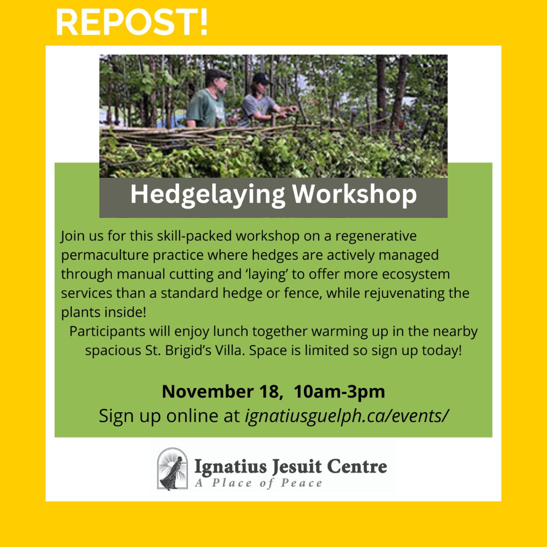 Check out these upcoming events by @ignatiusguelph on Hedgelaying: - Zoom in for the Hedgelaying webinar November 16th at 7pm: ignatiusguelph.ca/event/an-intro… - Get your hands dirty with the 5-hour hands-on Hedgelaying workshop on November 18th from 10am to 3pm: ignatiusguelph.ca/event/hedgerow…