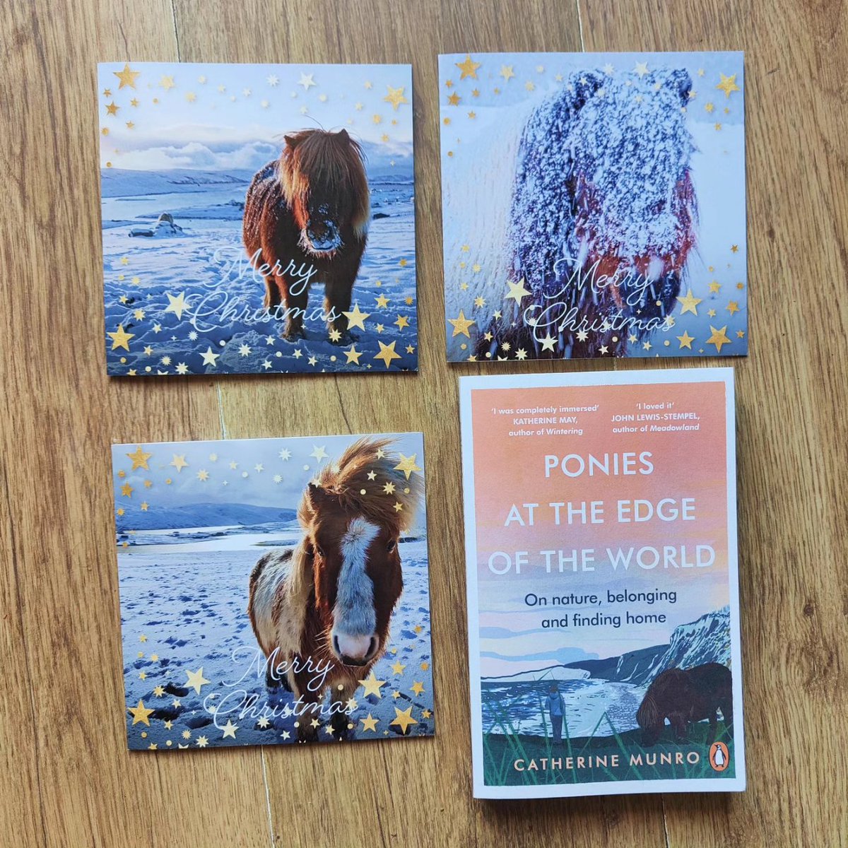 ***BOOK GIVEAWAY***
 To celebrate the new series of #Shetland starting tonight, I will give away 2 copies of Ponies at the Edge of the World with a set of Shetland pony Christmas cards.
Like and retweet this post to enter