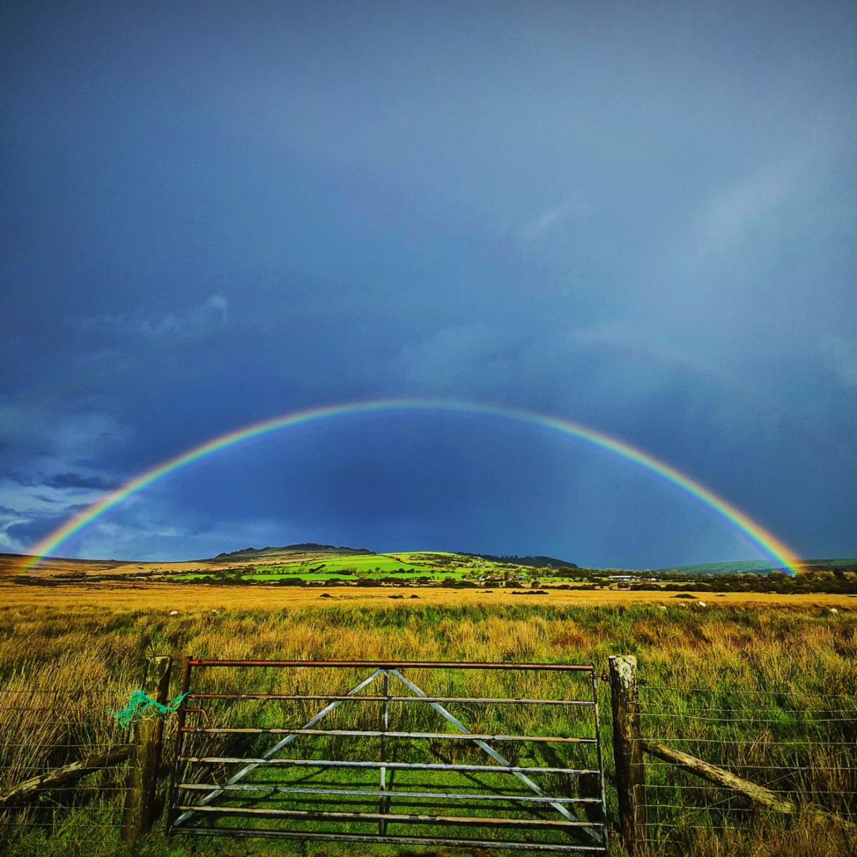TrystanLlyr's tweet photo. @AledHall @StormHour @ThePhotoHour Dales i un 'fyd draw yn Mynachlogddu #enfys #rainbow https://t.co/262KSO4nwR