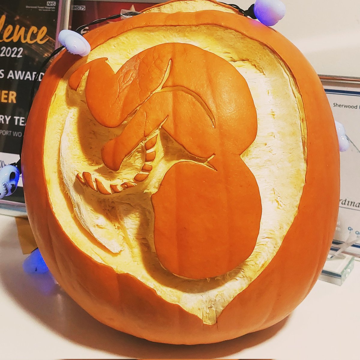 How amazing is this carved pumpkin I spotted on the Birthing Unit today?! I'm not sure who the artist is, but whoever they are, they've done an excellent job! 🎃