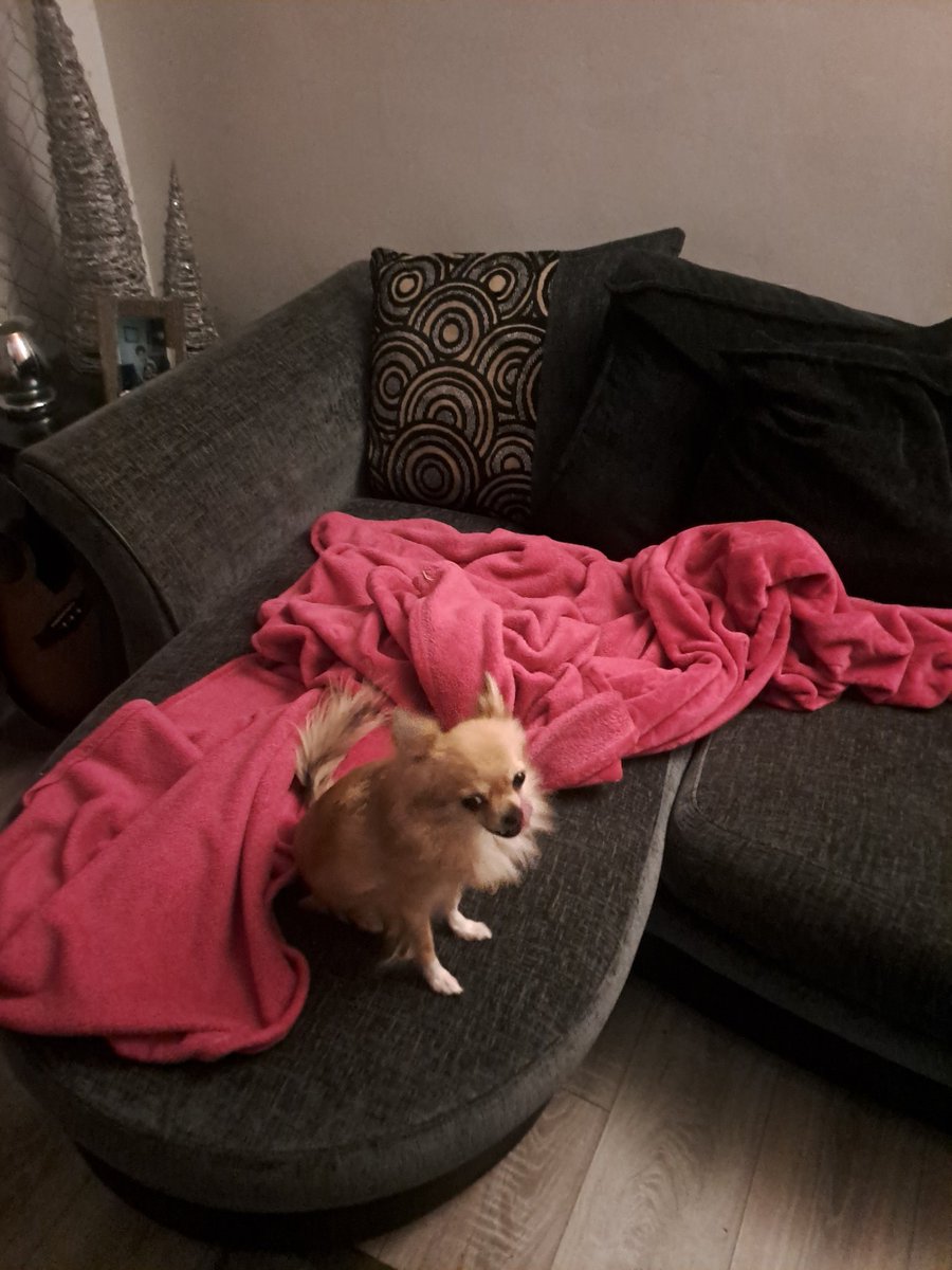Dave Cromack ๐๐ (@cromack_dave) on Twitter photo Short evening run <a href="/runningpunks/">Running Punks</a> thought I best get into the habit of the dark after work runs again, did enjoy it though once I was out.Forgot photo so here's one of my dog from this morning ๐ ๐ง Pennywise - Straight Ahead Short evening run <a href="/runningpunks/">Running Punks</a> thought I best get into the habit of the dark after work runs again, did enjoy it though once I was out.Forgot photo so here's one of my dog from this morning ๐ ๐ง Pennywise - Straight Ahead