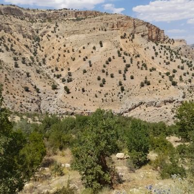 alfoso javier garcia tweet media