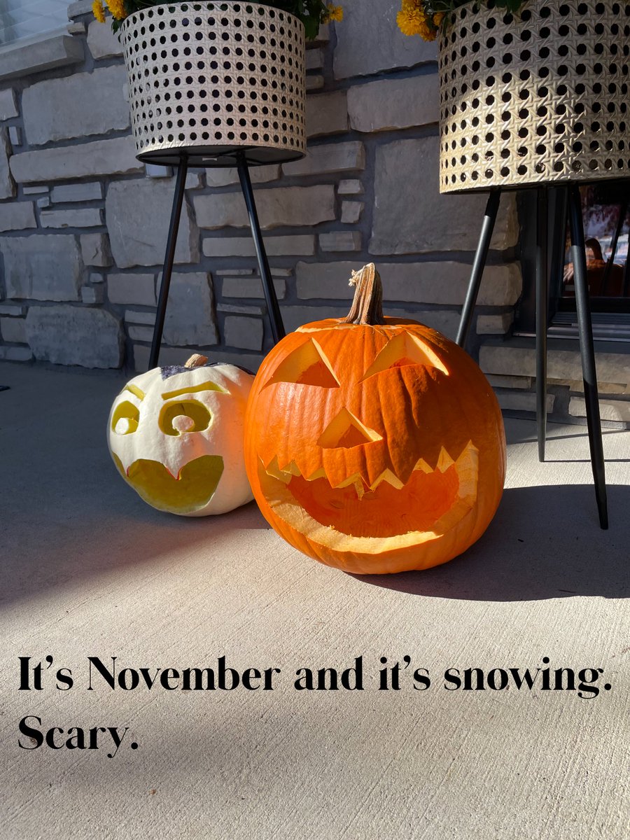 AsterixMonck's tweet photo. It’s #November first and it’s snowing @CityOwenSound . #scary. https://t.co/JN7TKK0RIp