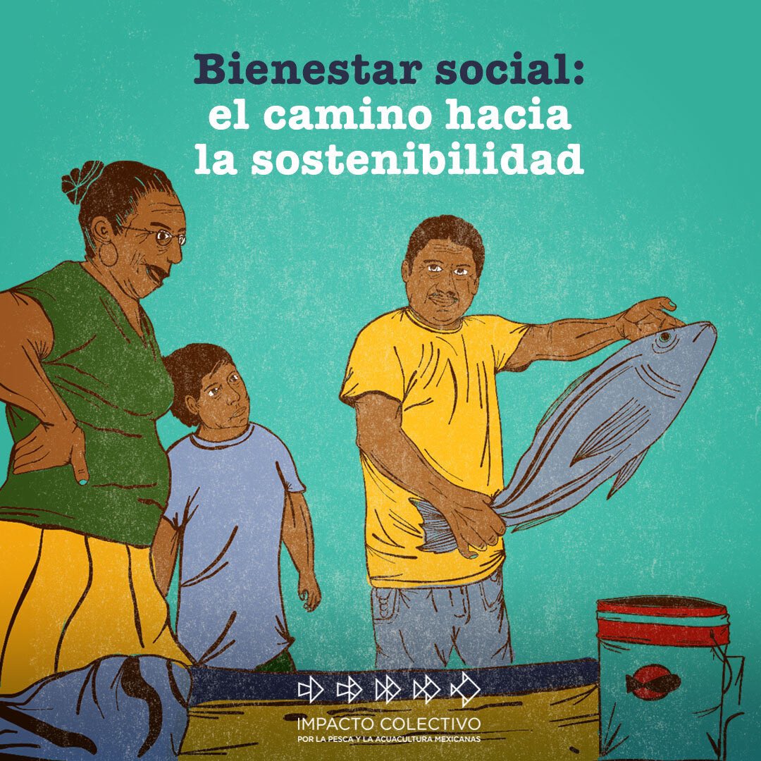 Para que las comunidades pesqueras alcancen la #PescaMx sostenible, es necesario que sus derechos fundamentales sean garantizados. Comparte esta información y únete a la causa. Más detalles en icpmx.org/bienestar-soci…
<a href="/MauVila/">Mauricio Vila</a>