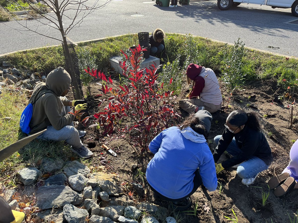 Jennifer Strouble tweet media