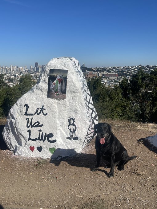 Greetings from Bernal Hill today. "Let us live." Let the people, plants, animals all live! Yes yes. https://t<a href="/tag/fireoflove"class="tags"><span>#fireoflove</span></a>