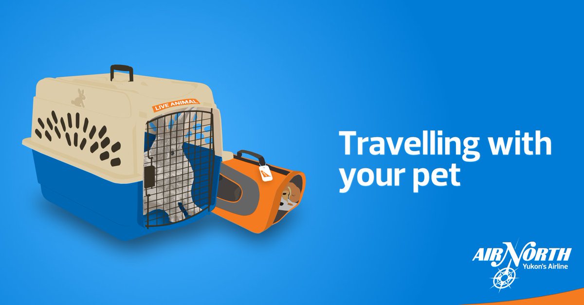If you plan to travel with your dog, cat or rabbit, please see the following information to ensure your pet meets all federal regulations and safety requirements: flyairnorth.com/support/pets-j…