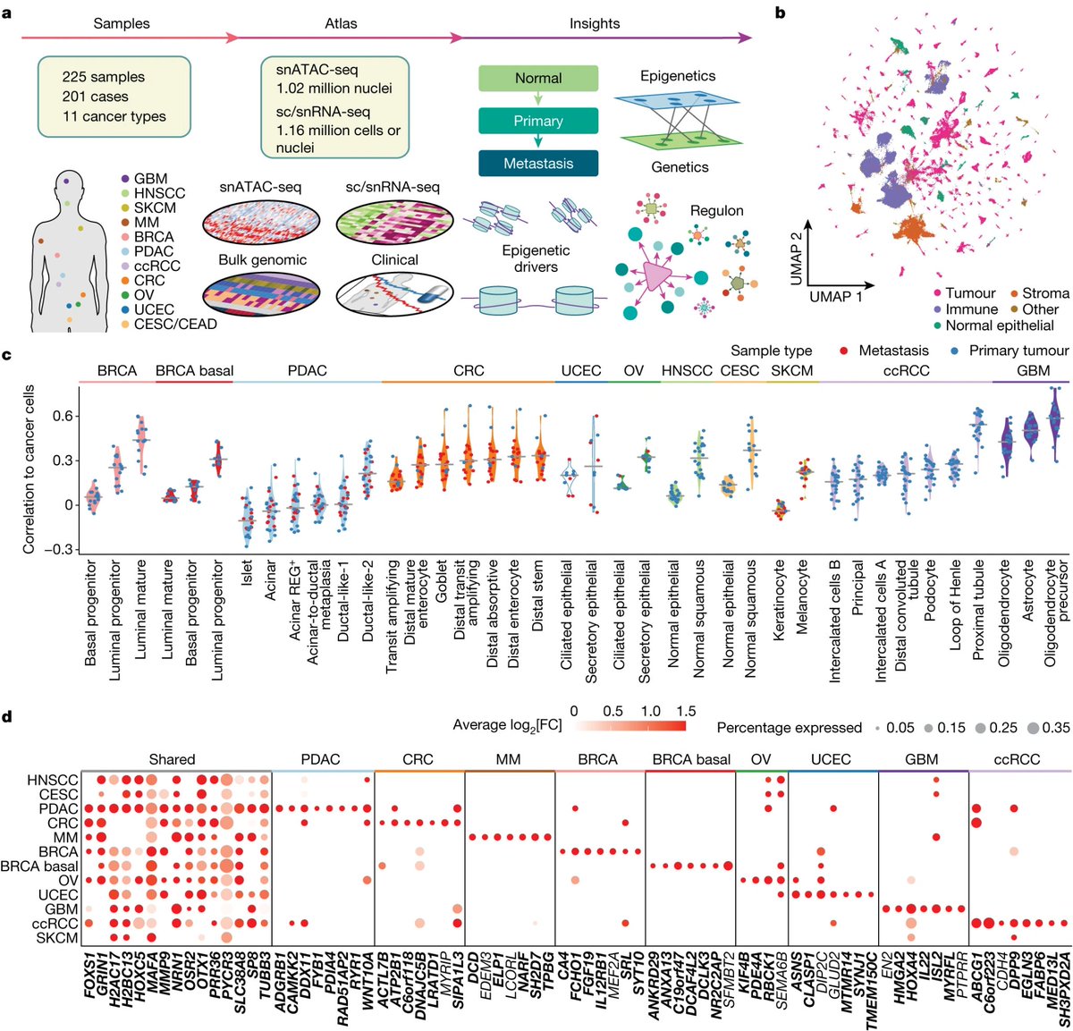 'Epigenetic regulation during cancer transitions across 11 tumour types' nature.com/articles/s4158…