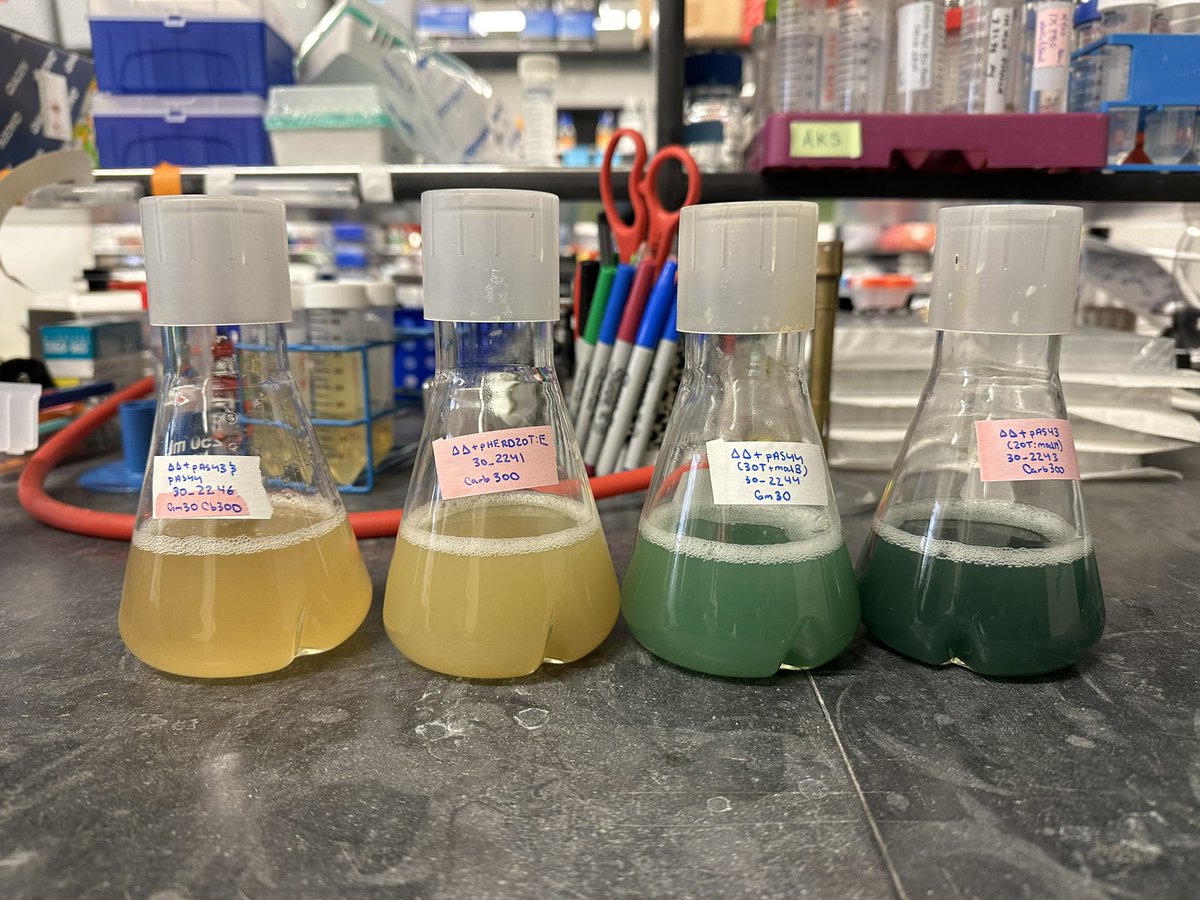 Patrick R. Secor tweet media