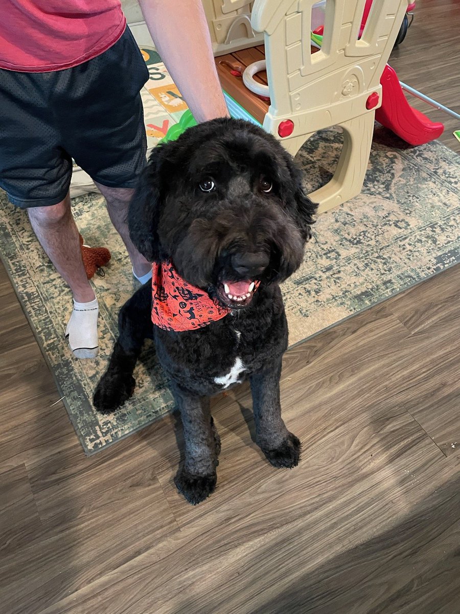 Psst, hey you. Go for a walk today. Put on a great playlist and get some sunshine on your face. Get the body moving; you'll feel, think, and sleep better for it. Some days the hardest part is just prioritizing the time. Or get a dog, since they'll just yell at you until you go 😄