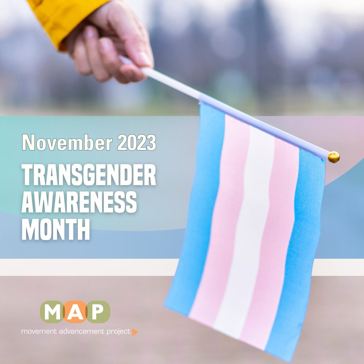 This #TransgenderAwarenessMonth, MAP recognizes the frightening realities facing transgender people—especially in 2023—as we track anti-transgender policies and laws.

Today, this month, and always, we also recognize the joy of transgender and nonbinary people everywhere.

🏳️‍⚧️✨🏳️‍⚧️