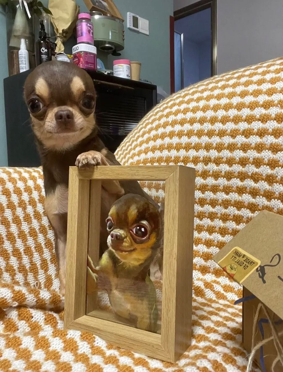 twaniimals's tweet photo. https://t.co/ZYULKJEBPo