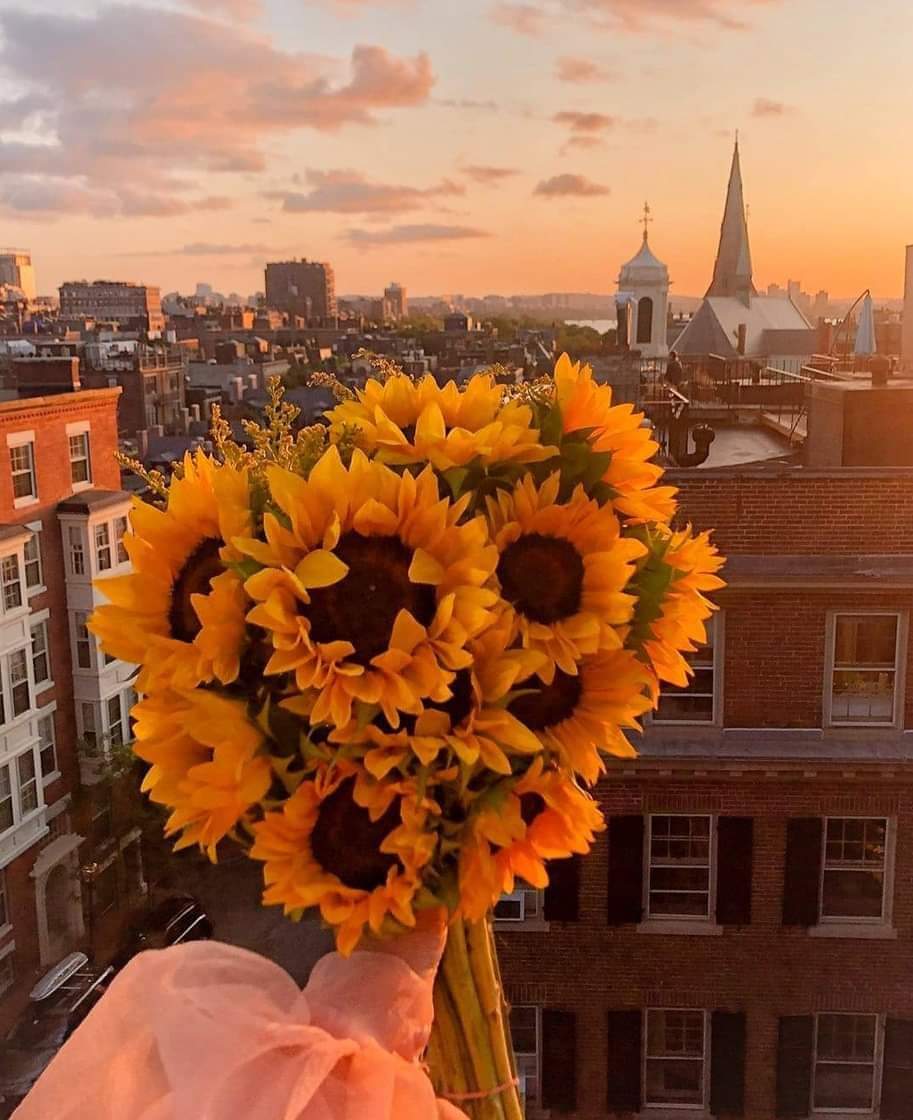 Jenn_Garcia2's tweet photo. 𝑇𝑢 𝑛𝑜 𝑒𝑟𝑒𝑠 𝑜𝑝𝑐𝑖𝑜́𝑛,𝑒𝑟𝑒𝑠 𝑢𝑛 𝑝𝑟𝑖𝑣𝑖𝑙𝑒𝑔𝑖𝑜 𝑦 𝑞𝑢𝑖𝑒𝑛 𝑛𝑜 𝑠𝑒𝑝𝑎 𝑣𝑎𝑙𝑜𝑟𝑎𝑟𝑙𝑜,𝑚𝑒𝑗𝑜𝑟 𝑞𝑢𝑒 𝑡𝑒 𝑝𝑖𝑒𝑟𝑑𝑎🌻😌🌻 https://t.co/T3eFJX24OQ