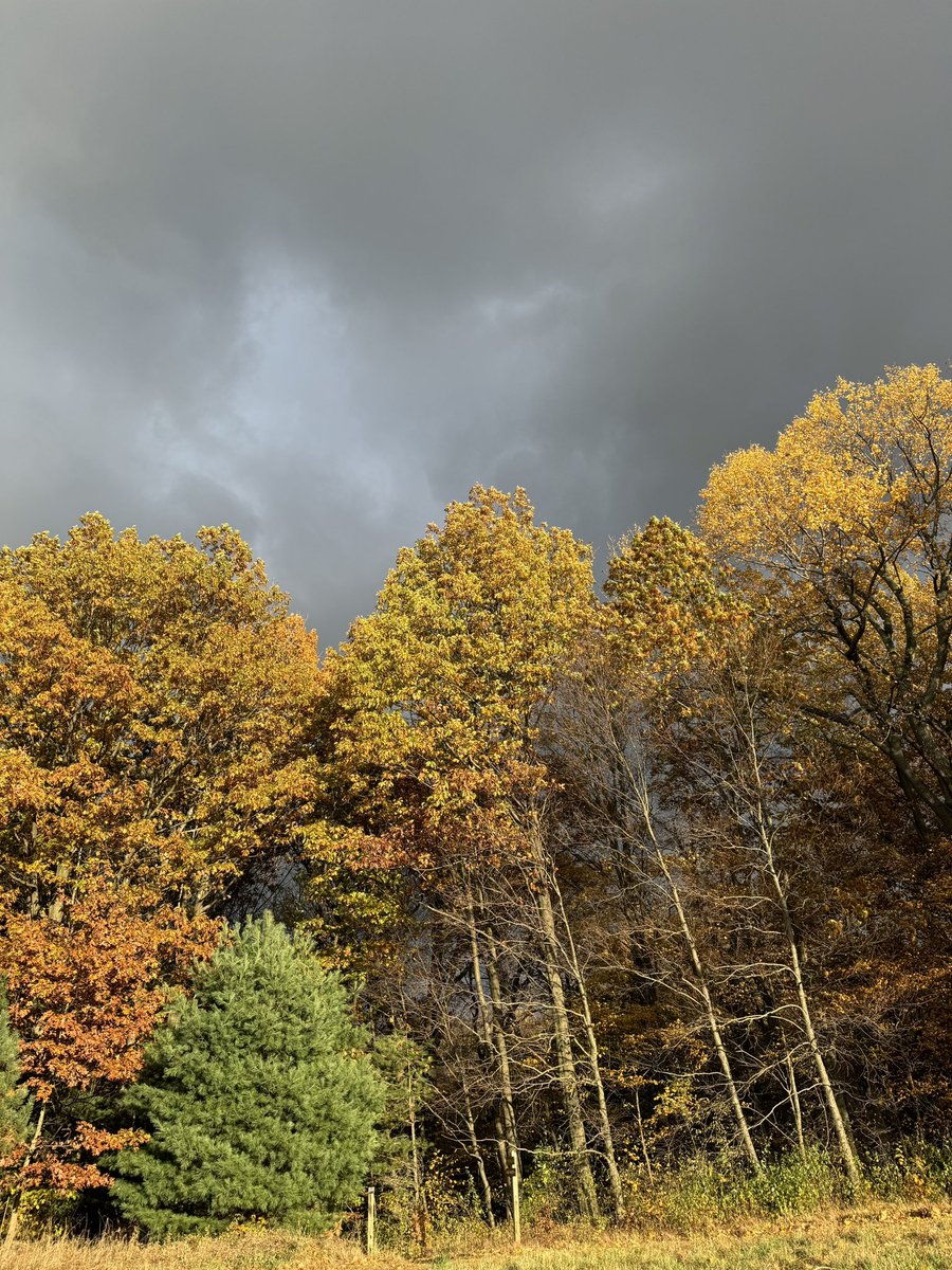 Andrew Welch tweet media