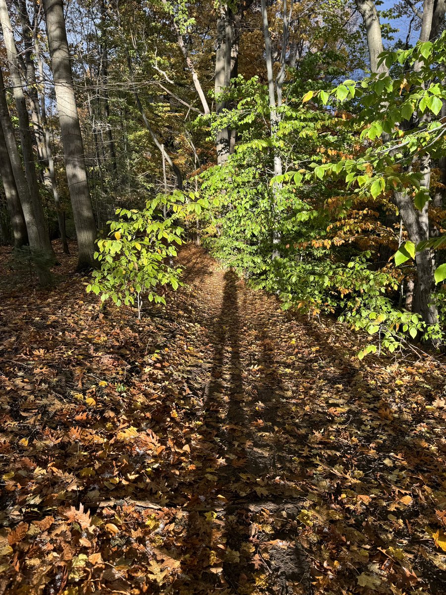 Andrew Welch tweet media