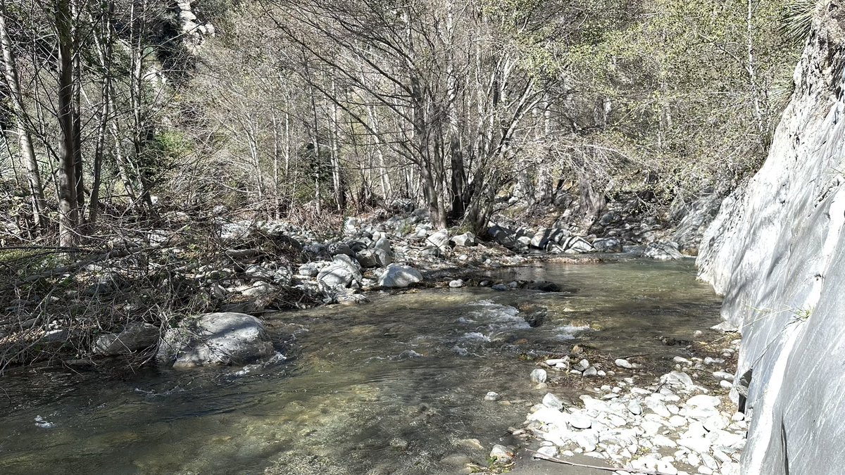 toddewiest's tweet photo. Needed this change of pace. Caught 3, lost 4 &amp; missed 2
#keephammering @hammernutrition #flyfishing #repyourwater #trout https://t.co/dJXx9aTTLA
