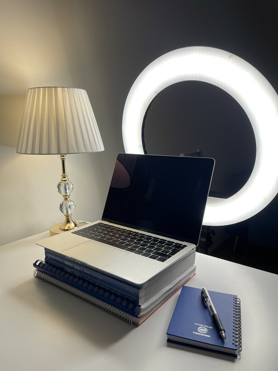 Alaa Chikh Hussein tweet media