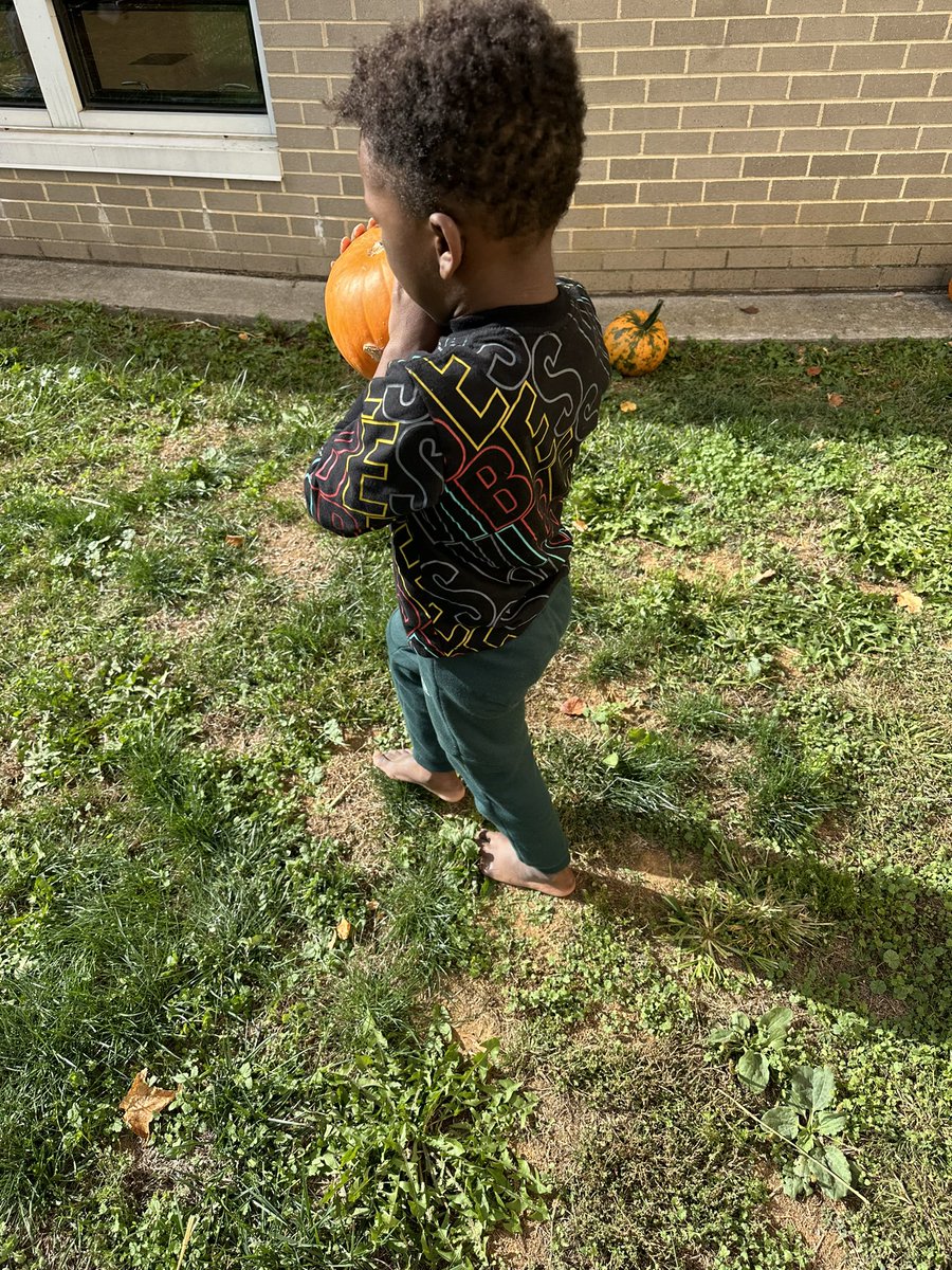 Sandy Fox tweet media