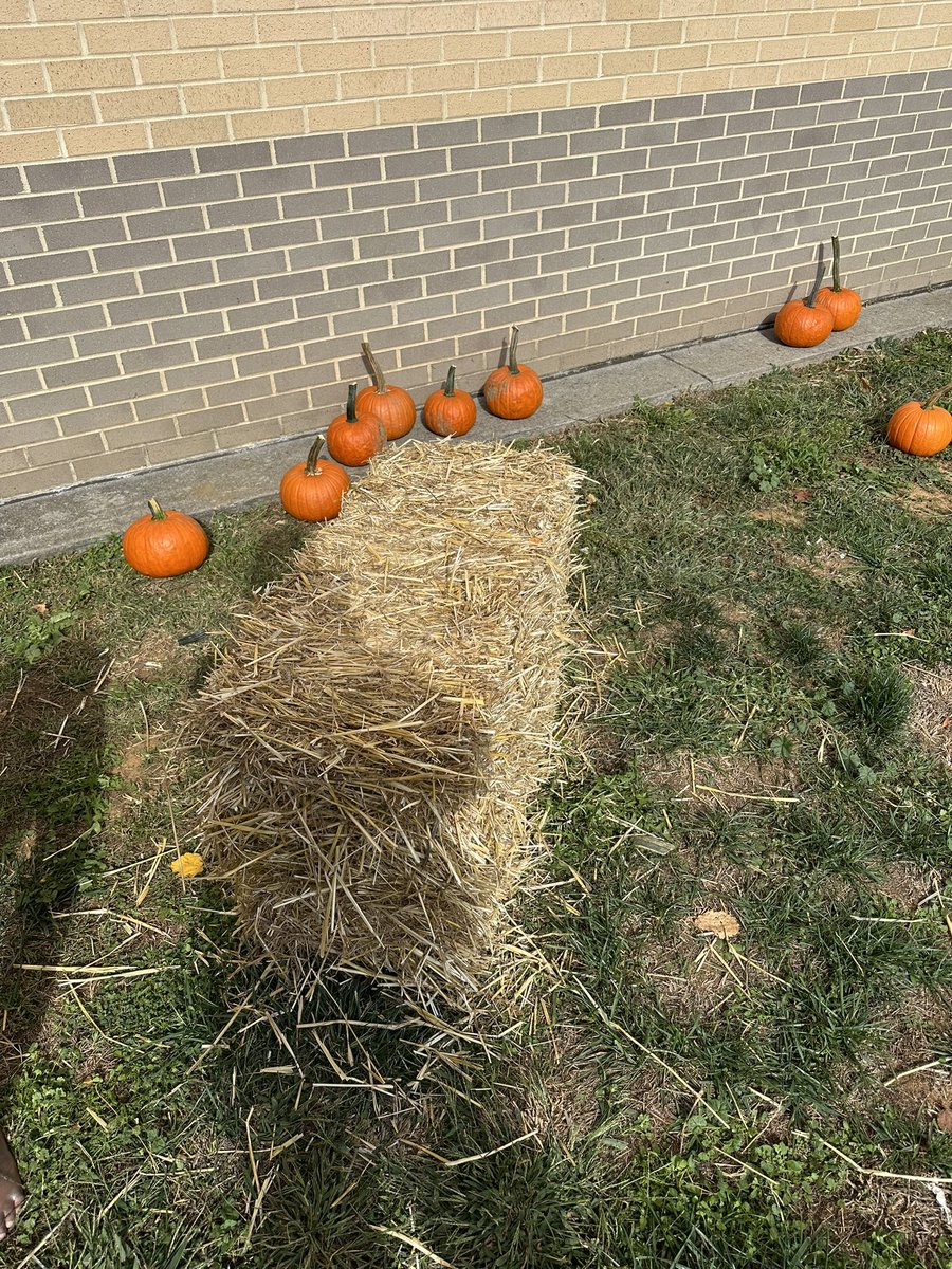 Sandy Fox tweet media