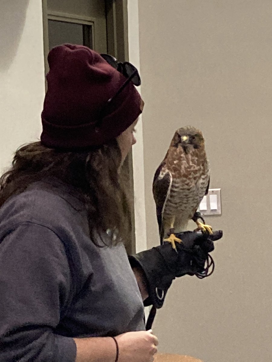 The Grade 6’s had a GREAT time <a href="/RaptorCentre/">Mountsberg</a> learning about various birds of prey. A great fall day for a hike, barn exploring and some terrific hands-on experiences! <a href="/TribuneDrive/">Tribune Drive P.S.</a>