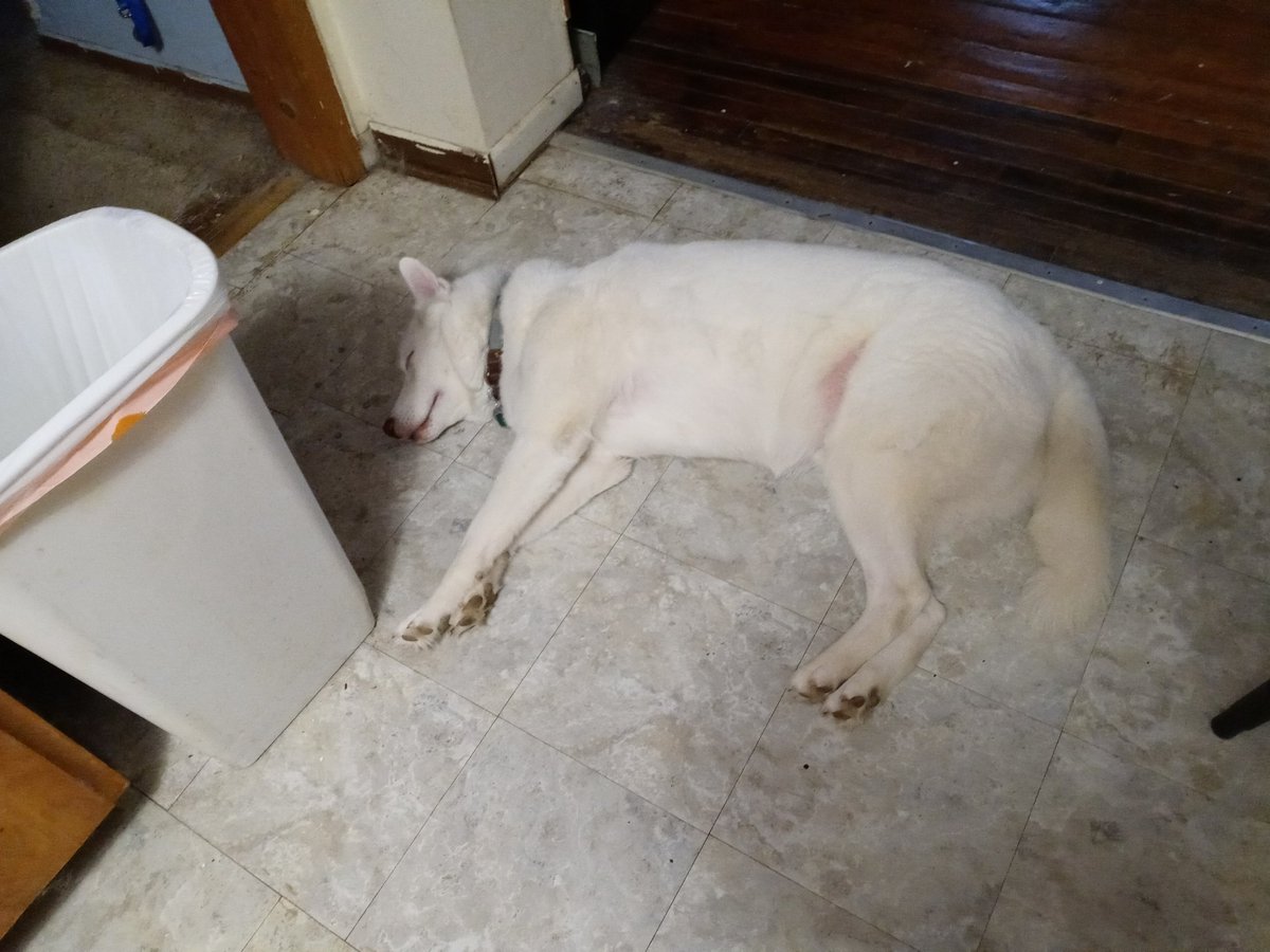 Dead til dinner time