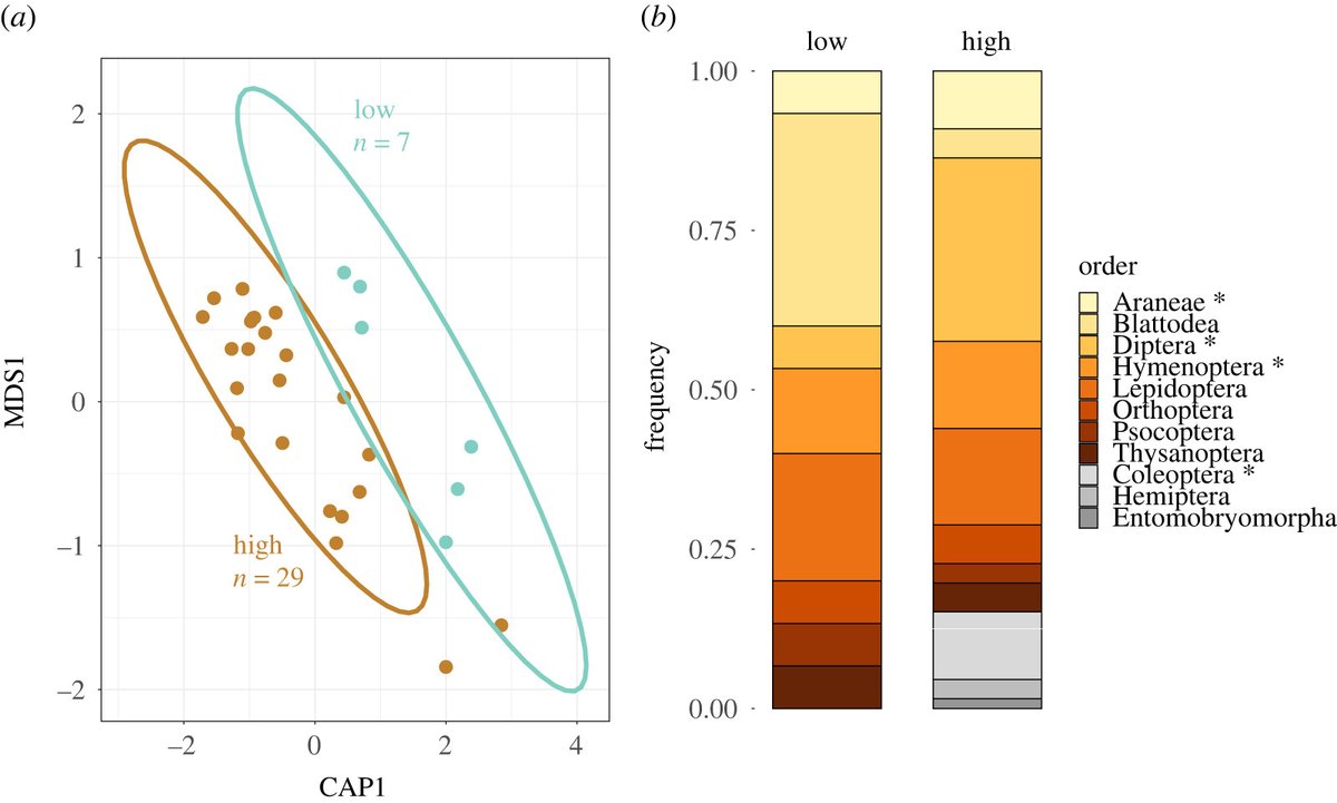 RSocPublishing's tweet photo. Changes in invertebrate food web structure between high- and low-productivity environments are driven by intermediate but not top predator diet shifts https://t.co/H3CtUJIMW7 #stableisotopeanalysis #DNAmetabarcoding #foodweb #BiologyLetters #ecology https://t.co/brP4NJ58JS