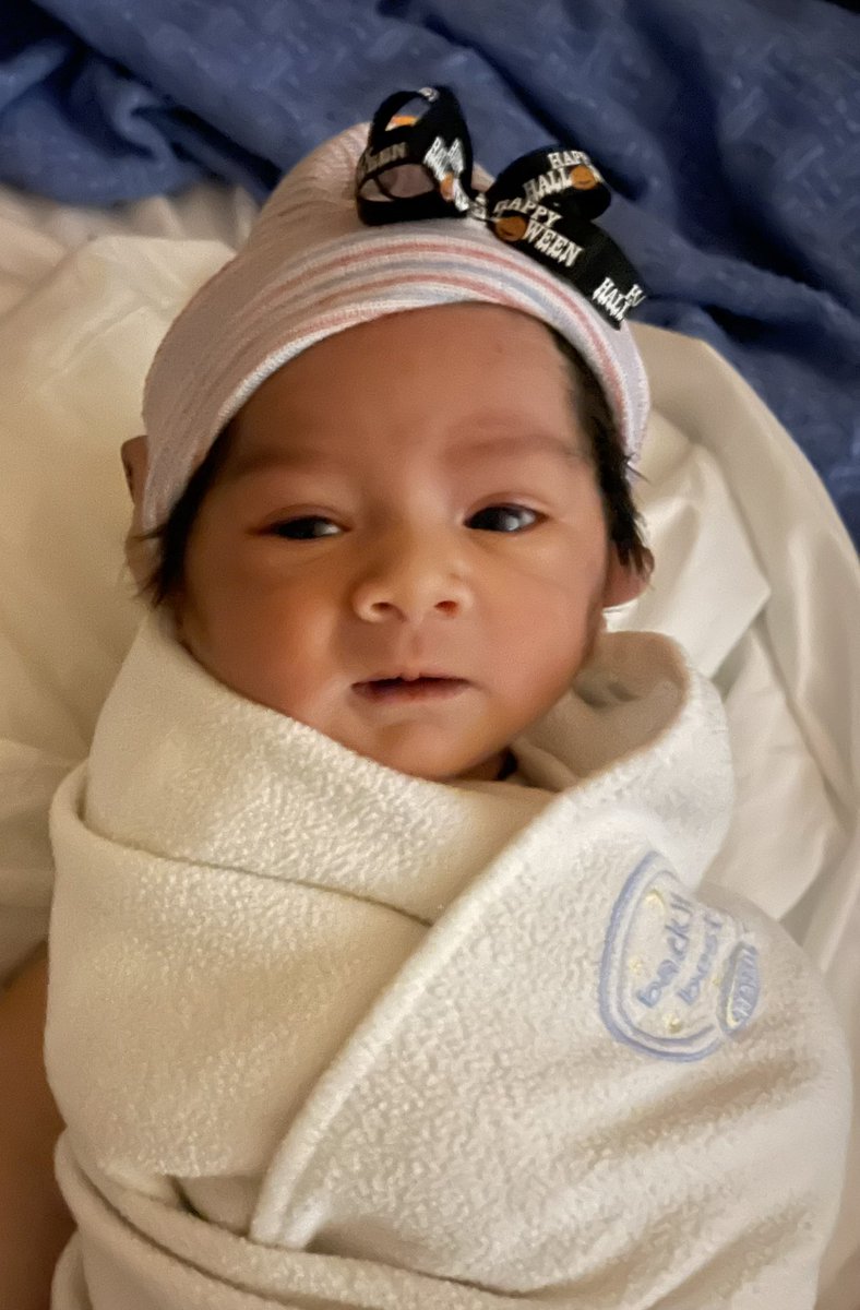 shanedaniel.eth tweet media