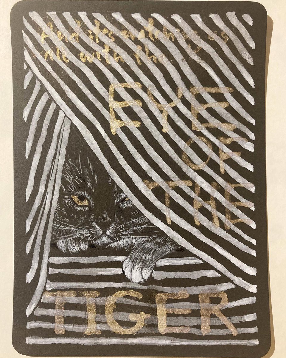 minisiegfried tweet media