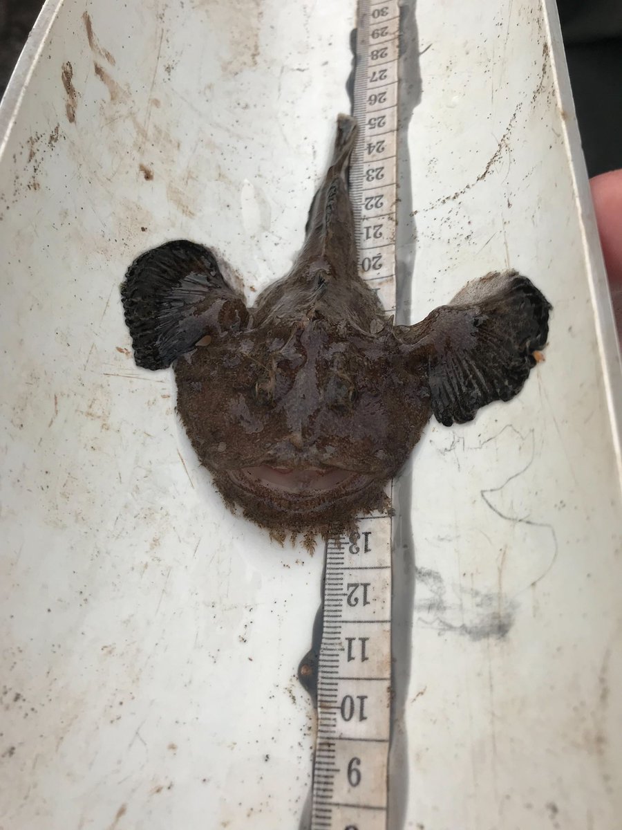 ACAP Saint John tweet media