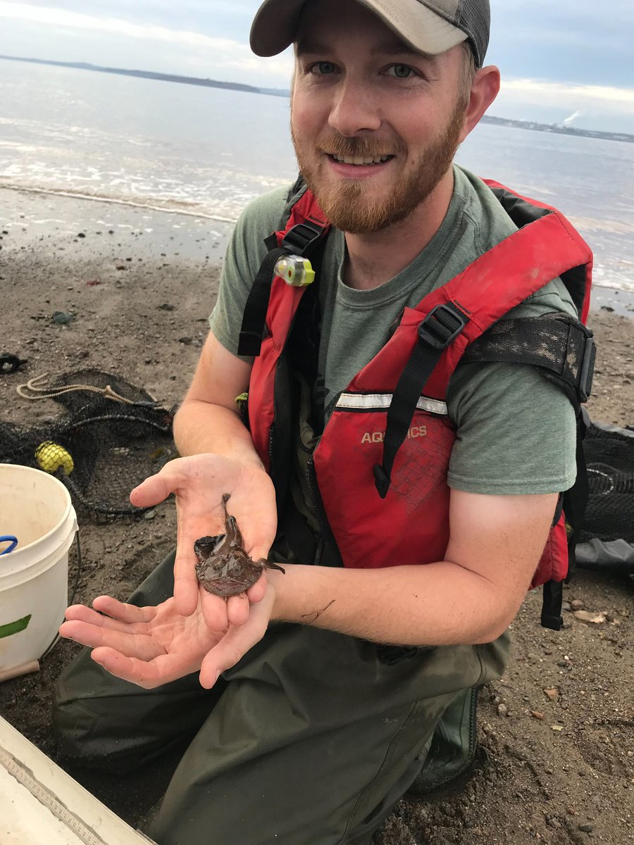 ACAP Saint John tweet media