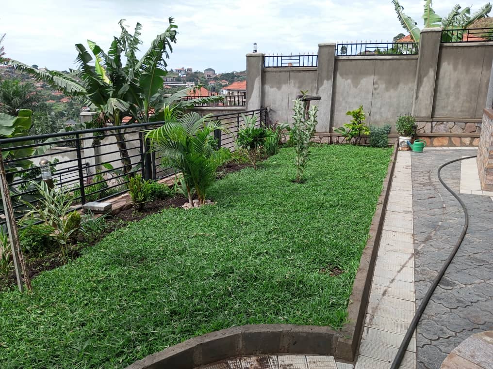 EcomiceM's tweet photo. A green lawn is easily achievable with firstly choosing the right soil, right grass type, enough amount of water and necessary weeding including the use of fertilizers.

Let's Inspire Freshness
Uganda
0778623536
https://t.co/Y3viTTKwey

#lawn #lawncare #grass #landscaping https://t.co/Nl0EEUbzM4