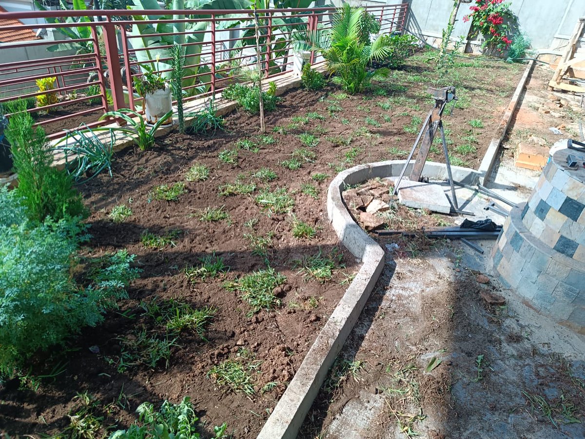 A green lawn is easily achievable with firstly choosing the right soil, right grass type, enough amount of water and necessary weeding including the use of fertilizers.

Let's Inspire Freshness
Uganda
0778623536
landscapeuganda.com

#lawn #lawncare #grass #landscaping