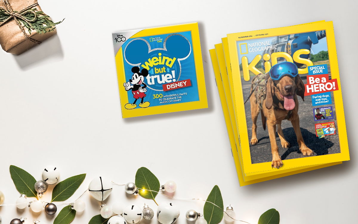 EXCLUSIVE OFFER: Give a child in your life the gift of learning with @NatGeo! Get 10% Off National Geographic Kids 1-Year Subscription + National Geographic Weird But True! Disney book, which is part of the #Disney100 collection: di.sn/6003umyxF